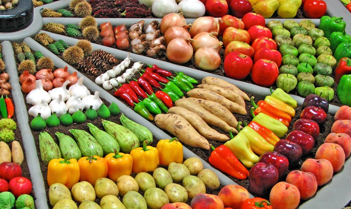 Les exportations des produits agricoles, sylvicoles et aquatiques du Vietnam repartent en fanfare